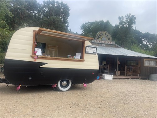 Gallery Image IMG_1003.jpeg