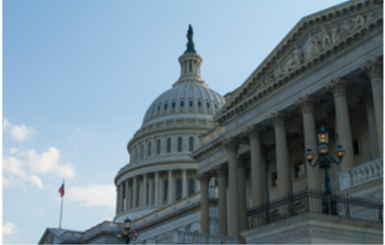 Government, Education & Individuals