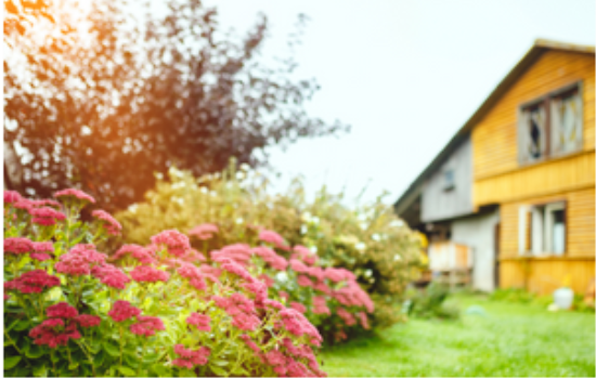 Home & Garden