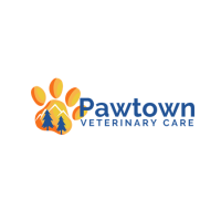 DogTown USA Canicross Dog & Jog