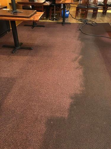 Carpet Cleaning Carpet Cleaning