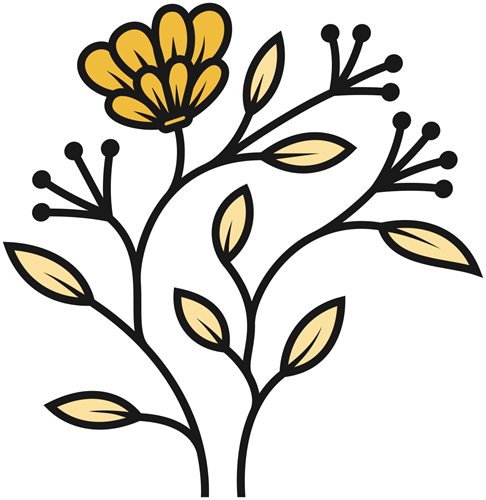 Gallery Image Practically-Perfect-Homes-Interior-Designer-Mount-Pleasant-East-Texas.png