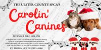 UCSPAC: Carolin' Canines