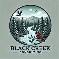 Black Creek Consulting