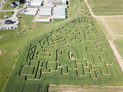 2019 Corn Maze-A Different Design Every Year