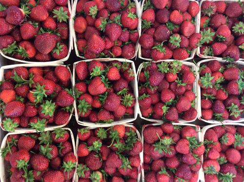 PEI Strawberries at our farm market