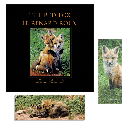 Hard cover bilingual book on the red foxes and two bookmaarks.
