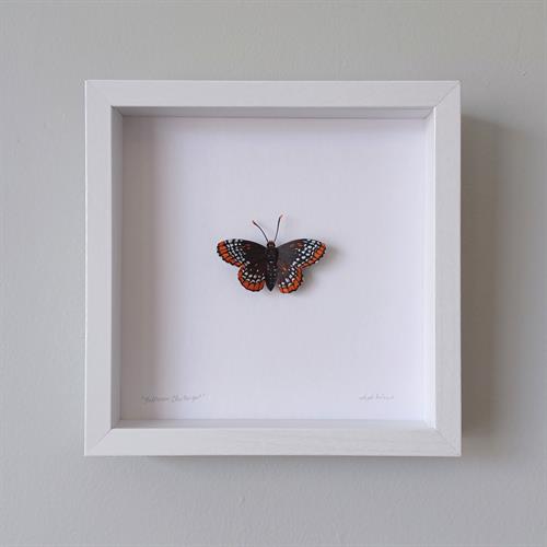 "Baltimore Checkerspot", painted paper butterfly sculpture