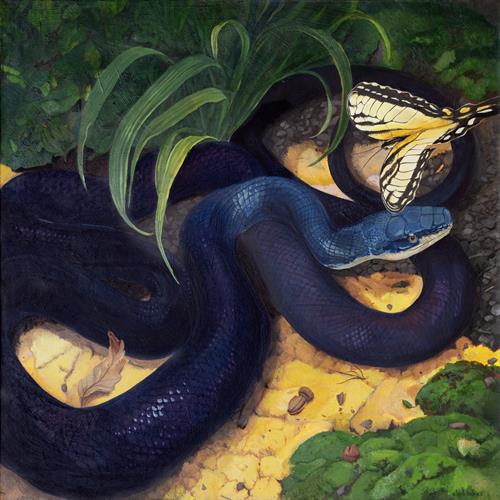 "The Swallowtail and the Black Rat Snake", acrylic painting "The Swallowtail and the Black Rat Snake", acrylic painting