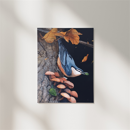 "The Nuthatch and the Seed", acrylic painting "The Nuthatch and the Seed", acrylic painting