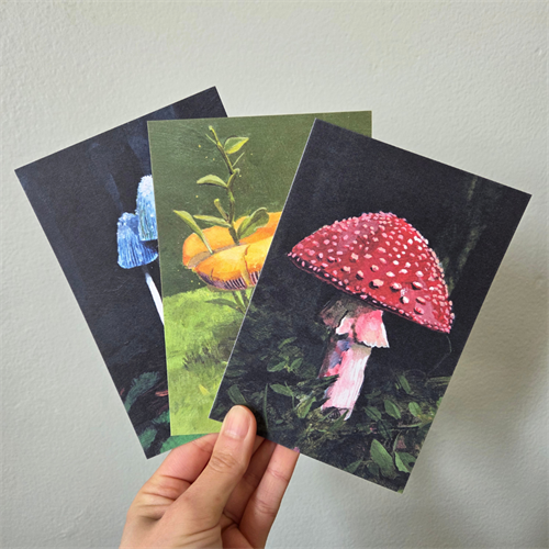Mushroom Art Print Postcard Set Mushroom Art Print Postcard Set