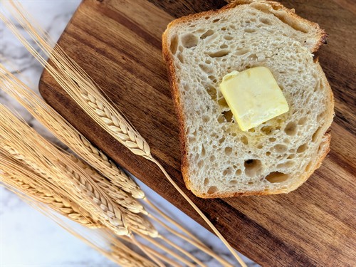 Original Sourdough