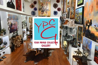 Your Private Collection Art Gallery