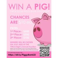 YWCA Piggy Bank Raffle