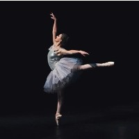 Ballet: Beyond the Curtain