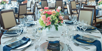 Salute to the Stars Award Luncheon