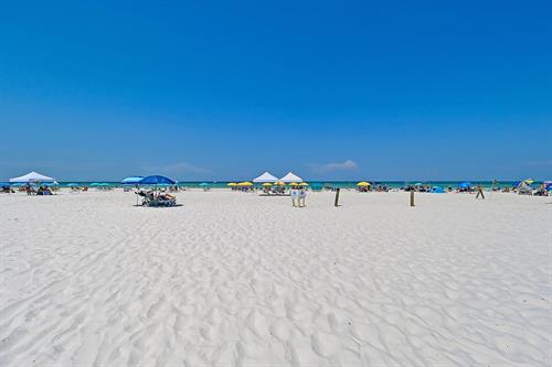 Gallery Image Seashell_(54)_MLS.jpg
