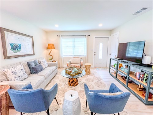 Siesta Laughing Gull - Polynesian Gardens