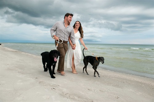 Gallery Image Walking_Dogs.jpg