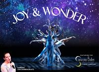 Joy & Wonder