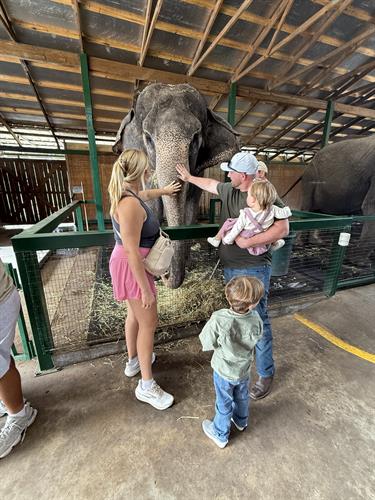 Myakka Elephant Ranch