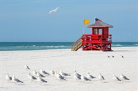 Most Instagrammable Spots in Siesta Key