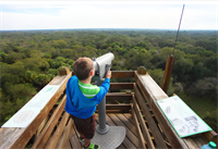 Best Parks and Trails in Sarasota