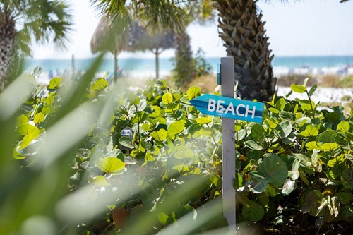 Gallery Image SiestaKey-113.jpg