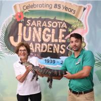 Celebrating 85 Years of Sarasota Jungle Gardens
