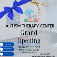 Morpho Behavioral Services Autisim Therapy Center