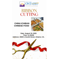 China Ichiban Chinese Food