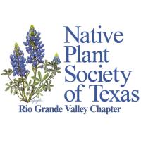 Disappearing Rare and Native Plants of the Rio Grande Valley.