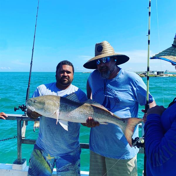 Drum Caught on the Bay 