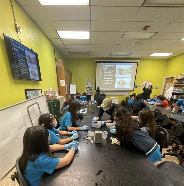 Squid Dissection educational activity offered. Squid Dissection educational activity offered.