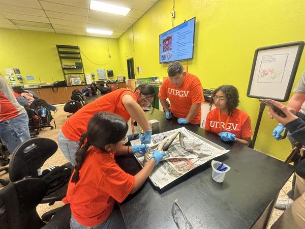 Shark Dissection educational activity offered. Shark Dissection educational activity offered.