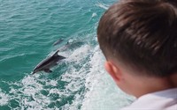 Isla Tours