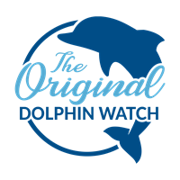The Original Dolphin Watch