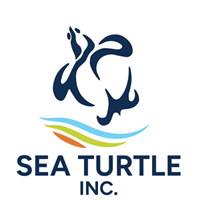 Sea Turtle, Inc.