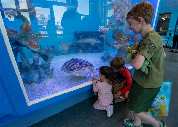 Gallery Image seaTurtleInc-grandOpening-8.png