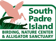 Hallowings Across South Padre Island