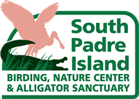 I SPY BIRDS Spring Break Kids' Guided Tour