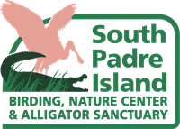 Coastal Nature Camp