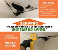 SERVPRO of East Brownsville & South Padre Island - Alton
