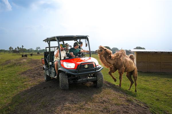 Experience animals like never before in our VIP RTV Tour! Book online at https://fpwildlifepark.com/tickets !