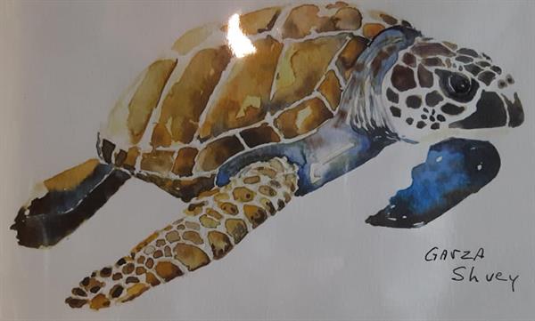 beautiful watercolor paintings by local artist