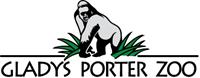 Gladys Porter Zoo Mourns the Loss of Beloved Gorilla