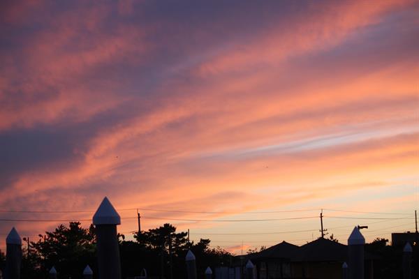Gallery Image IMG_8426.JPG