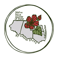 Rio Grande Valley - Native Plant Society of Texas