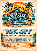 Paws and Stay On Padre - South padre island 