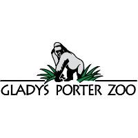 Gladys Porter Zoo Welcomes Towering Giraffe from Zoo Miami